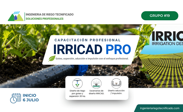 GRUPO N19 – Diseño Profesional de Sistemas de Riego con IRRICAD V21